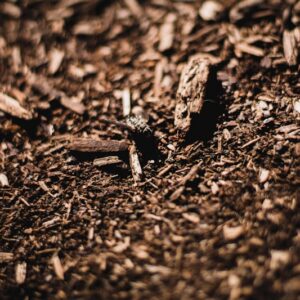 Bark Mulch